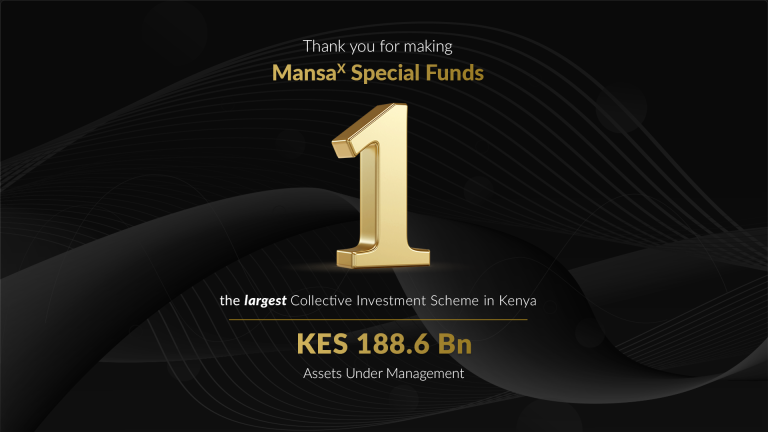 The Mansa-X Story